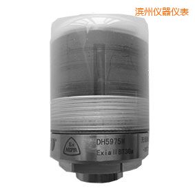 濱州無線狀態(tài)監(jiān)測(cè)器