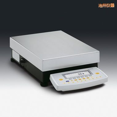 ���ݾ��������ƽ,12000g,0.1g