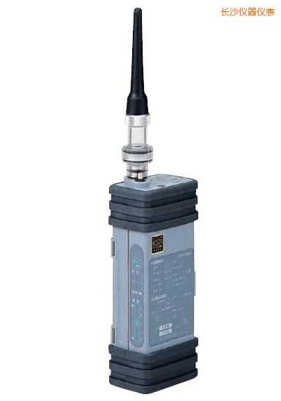 �L(zh��ng)ɳ����ʽ���w�z�y(c��)��