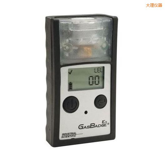 大理單一可燃?xì)怏w檢測儀