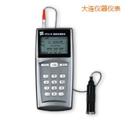 大連時(shí)代測(cè)振儀表