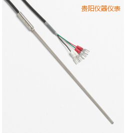 貴陽快速響應鉑電阻溫度計