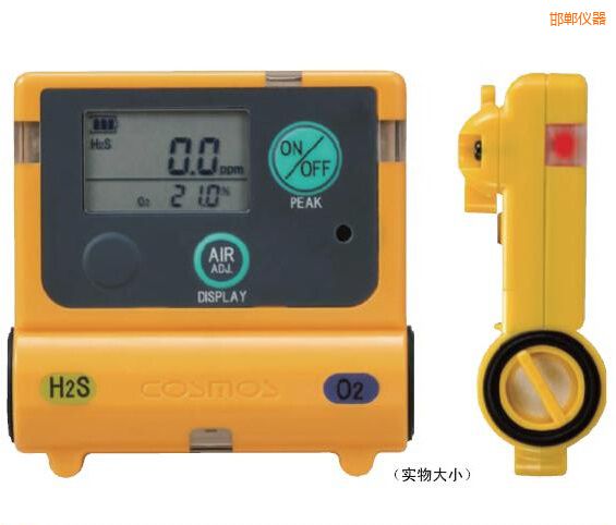 邯鄲復合型氣體檢測器