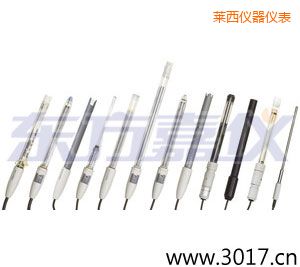 萊西離子選擇性電極