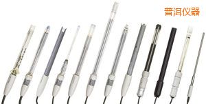 普洱電導(dǎo)電極