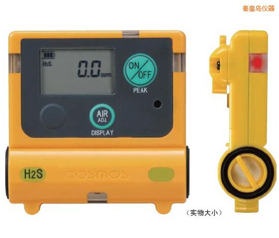 秦皇島硫化氫計