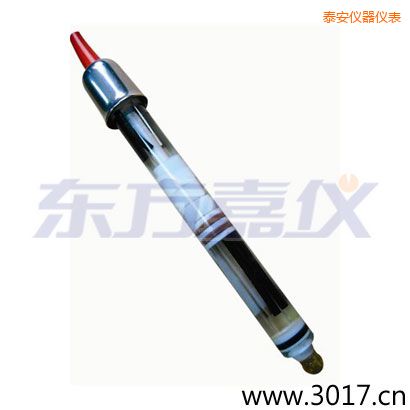 泰安玻璃外殼,無溫補雙鹽橋電極