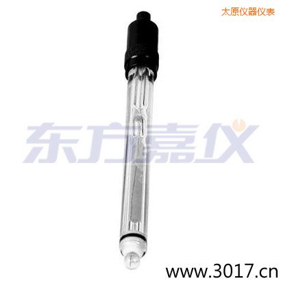 太原玻璃外殼鉑金環(huán)ORP電極