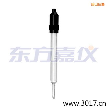 唐山玻璃外殼無溫補(bǔ)兩線電導(dǎo)率電極