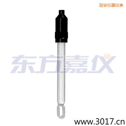 延安無(wú)溫補(bǔ)兩線(xiàn)電導(dǎo)率電極