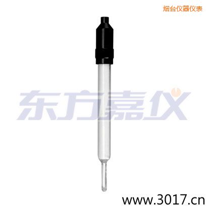 煙臺玻璃外殼無溫補兩線電導率電極