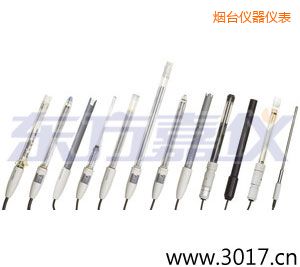 煙臺離子選擇性電極